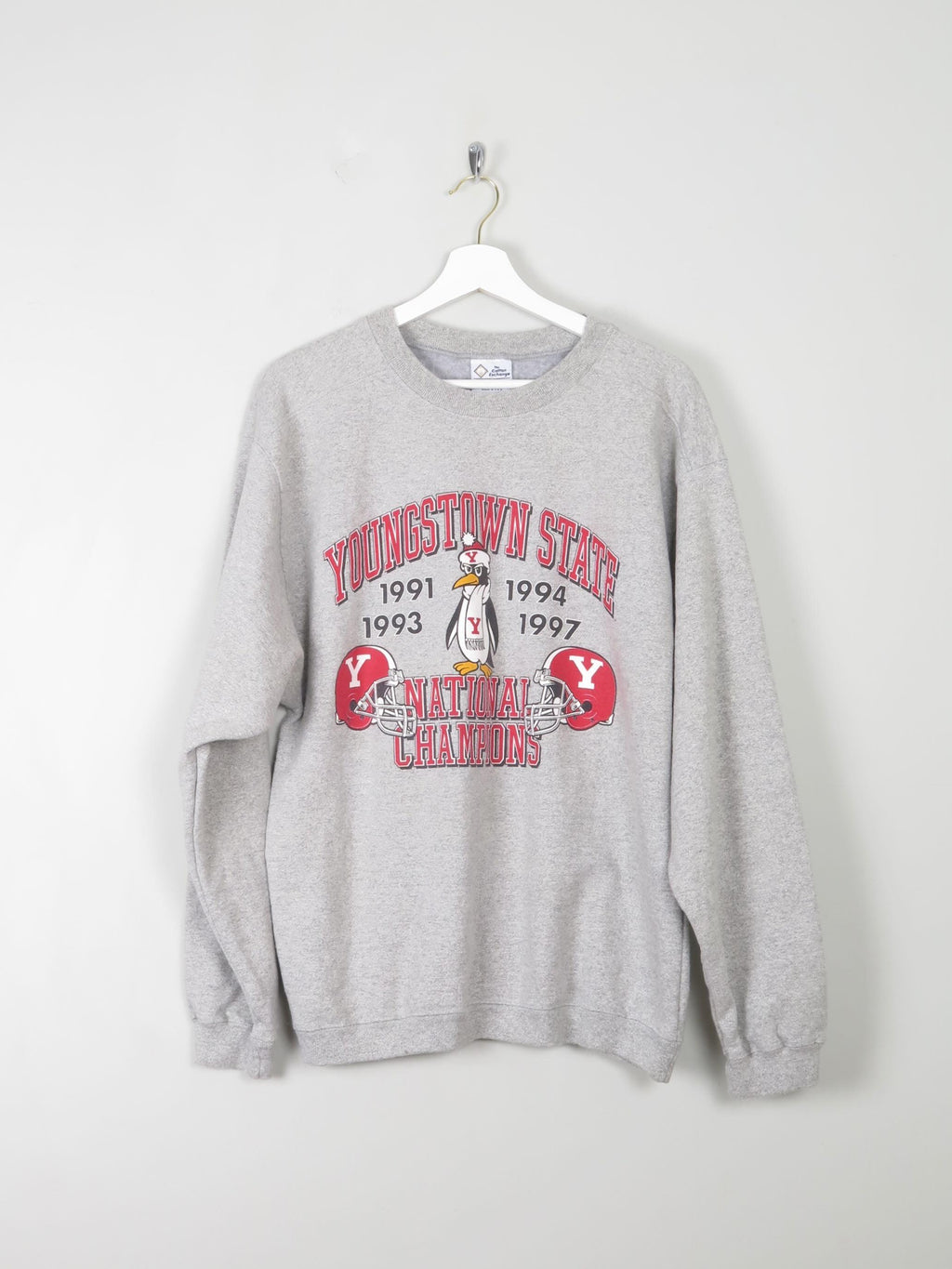 Men's Grey Vintage Youngstown State Sweatshirt M - The Harlequin